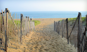 Beach Pass Program