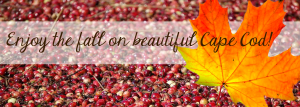fall cranberry banner