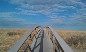 town neck board walk