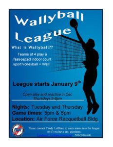 wallyball 2017