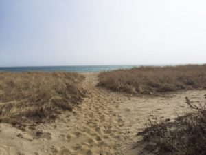 nantucket house beach path