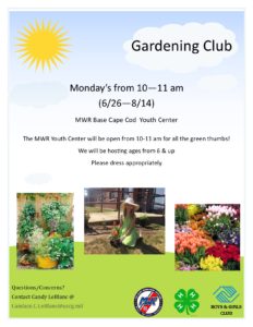 monday gardening