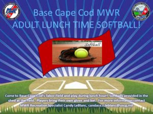 softball 2017 flyer